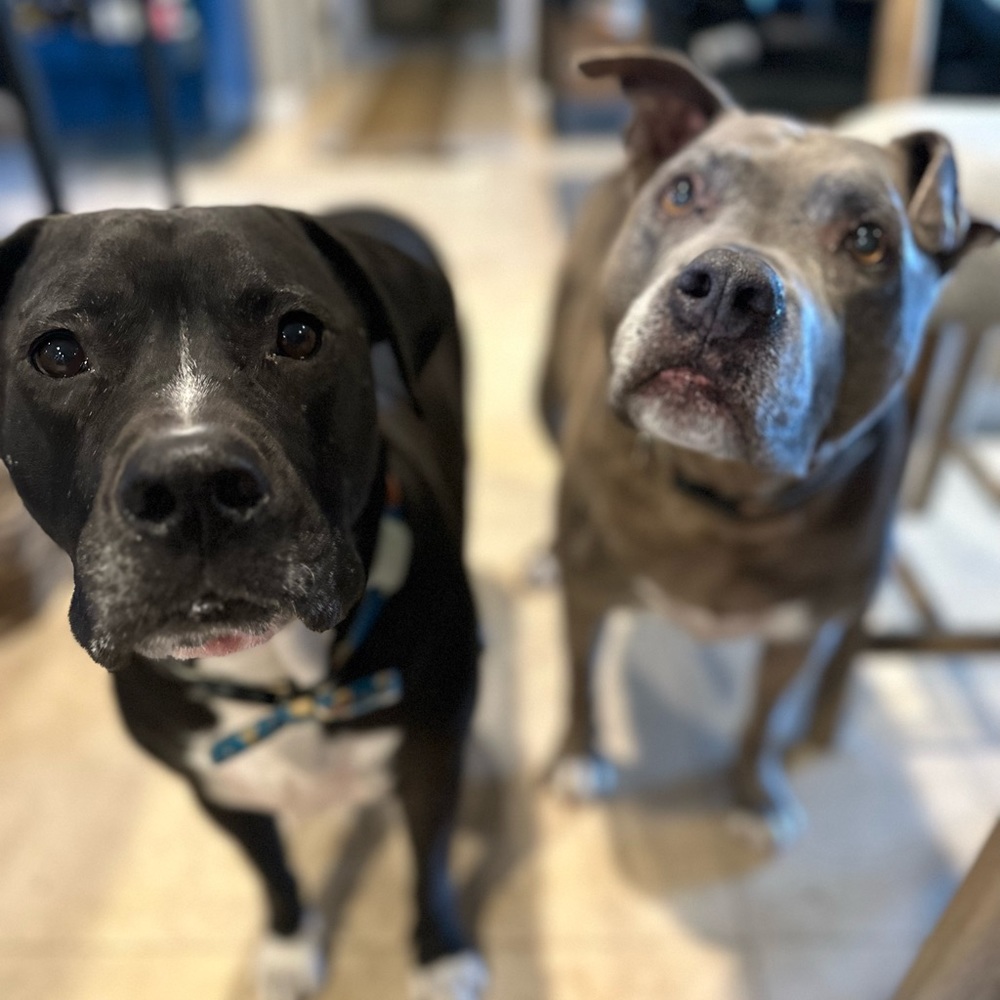 Meet your Posher, Tanya